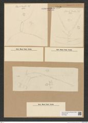 Diatomeae indet. Zeichnungen Sammlung Grunow Nr. 7743 (NHMW-BOT-W0376964)